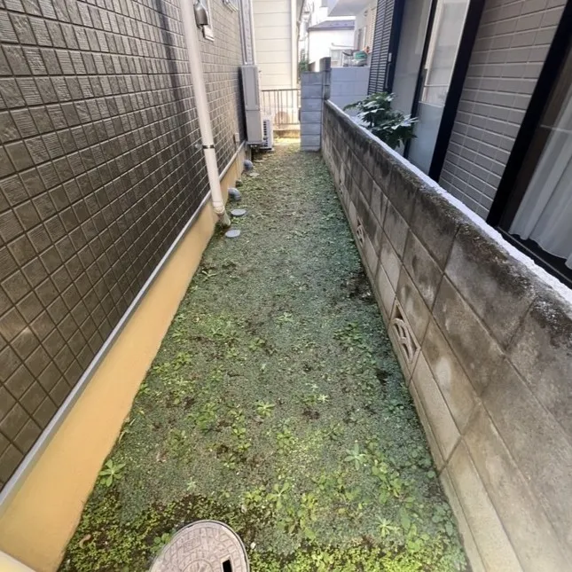 ビフォー9